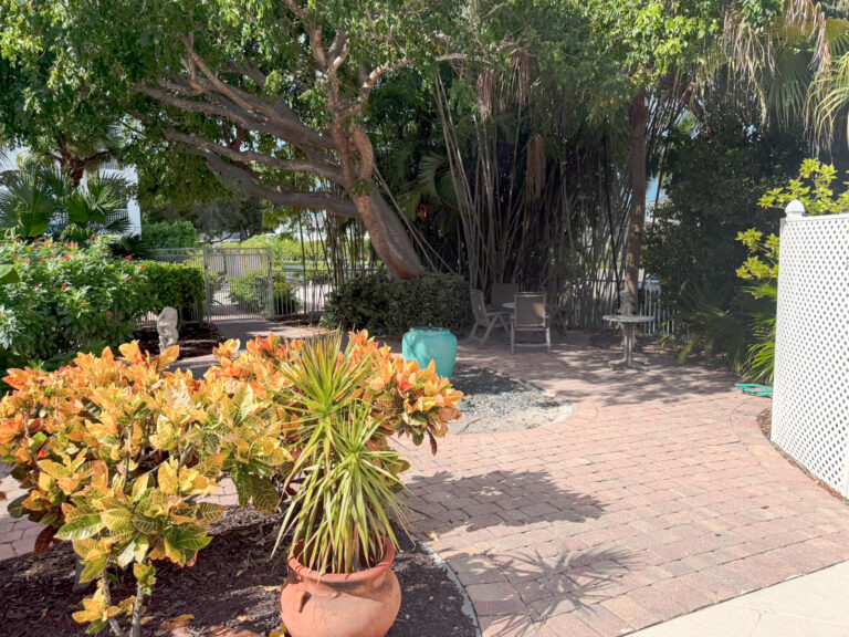 Garden Patio